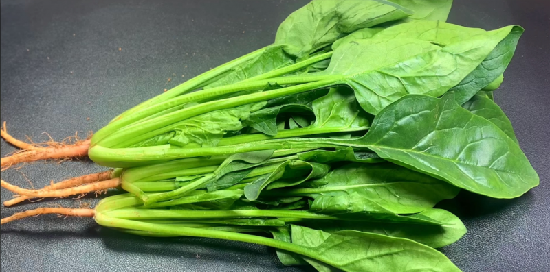 大力水手吃的菠菜，还有着营养作用