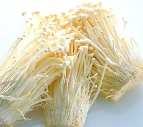 金针菇的营养价值与健康功效研究