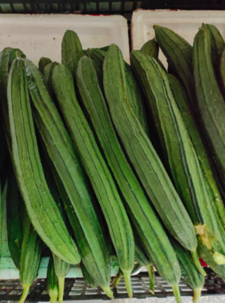 丝瓜，又称水瓜、天罗瓜或菜瓜，是一种夏季常见且营养丰富的蔬菜。