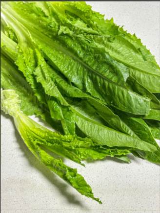 油麦菜又称"凤尾菜"或"苦苣"