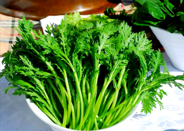 茼蒿，又称蓬蒿、菊花菜、天然养肝菜，是菊科茼蒿属植物的嫩茎叶，被誉为"皇帝菜"