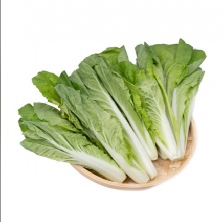 小白菜，又称青菜、油白菜、胶菜