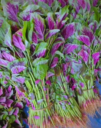 苋菜，作为"夏季第一菜"和"长寿菜"