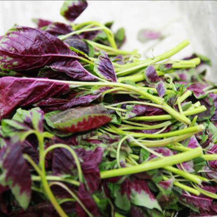 苋菜，作为"夏季第一菜"和"长寿菜"