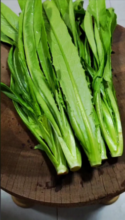 油麦菜又称"凤尾菜"或"苦苣"