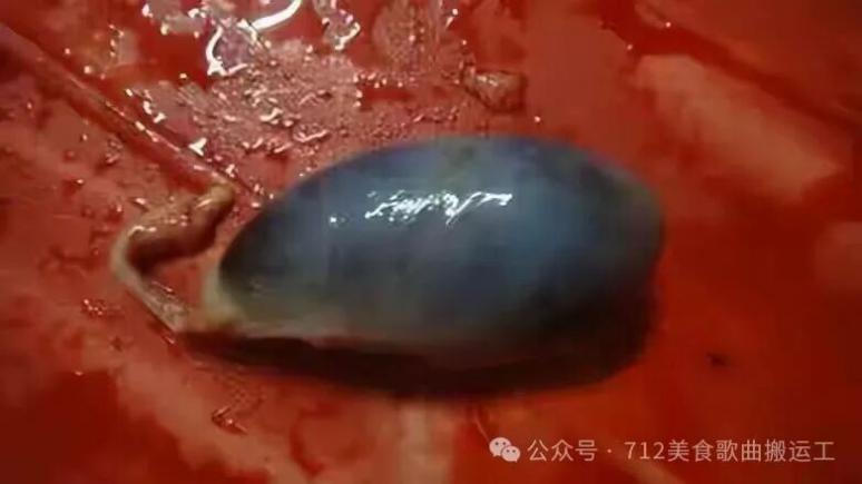 龙岩非遗美食之《武平猪胆干》