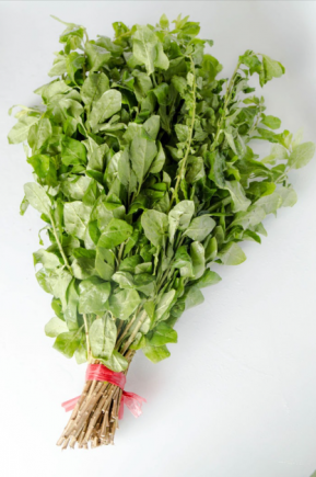 枸杞可以泡茶煮汤，枸杞叶还可以吃