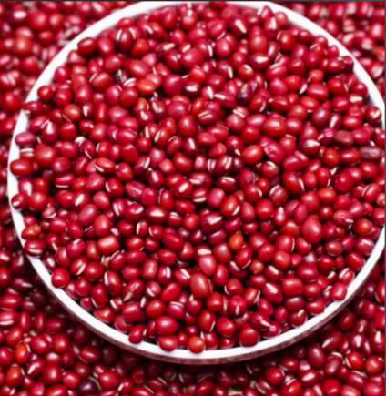 红豆又名相思豆