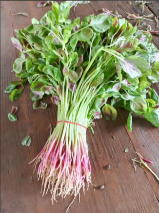 苋菜，作为"夏季第一菜"和"长寿菜"