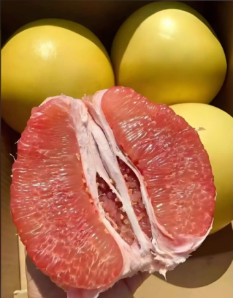 柚子是一种营养丰富的水果，果肉可以吃，果皮可以入药