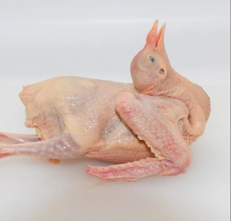 鸽子肉的营养价值