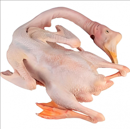 鹅肉的营养价值