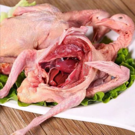 鸽子肉的营养价值